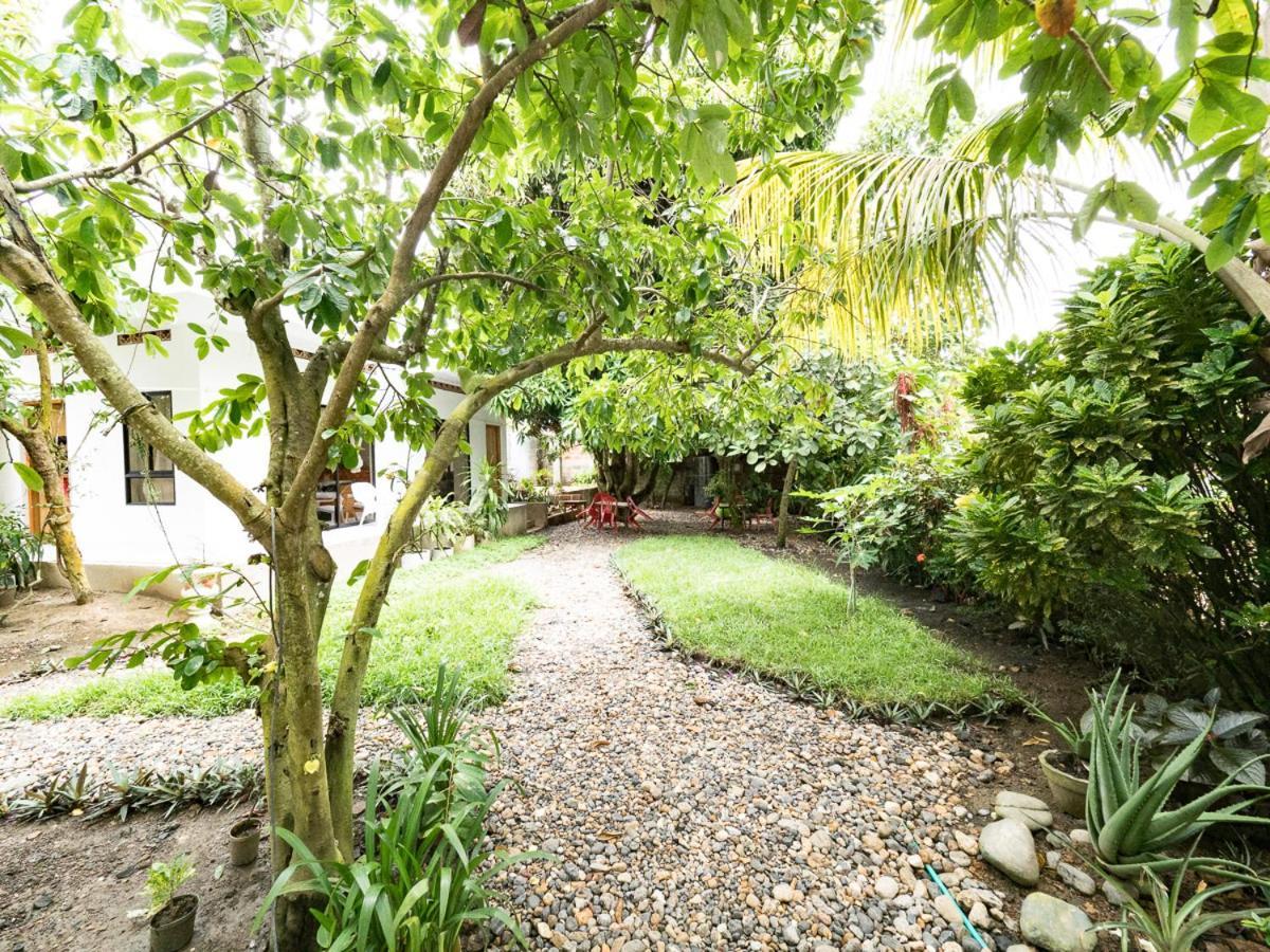 Punta Caribana Casa Hotel Некокли Экстерьер фото